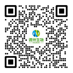微米生物-餐廚/廚余/果蔬垃圾處理設(shè)備廠家-項目投資運營商